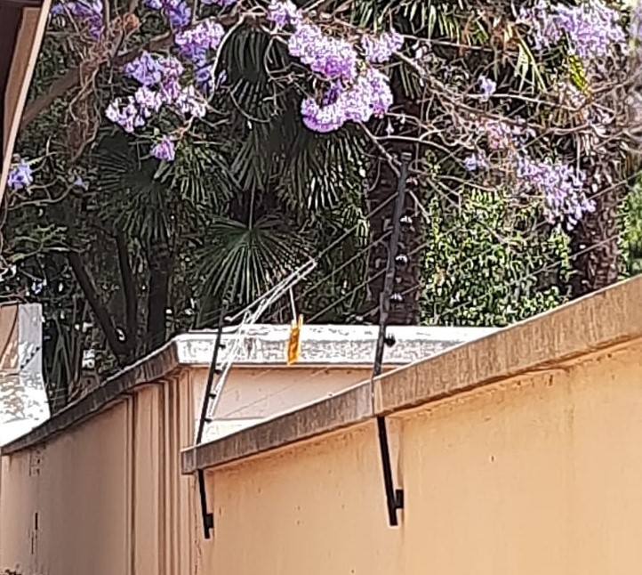 WhatsApp Image 2022-11-10 at 17.58.27